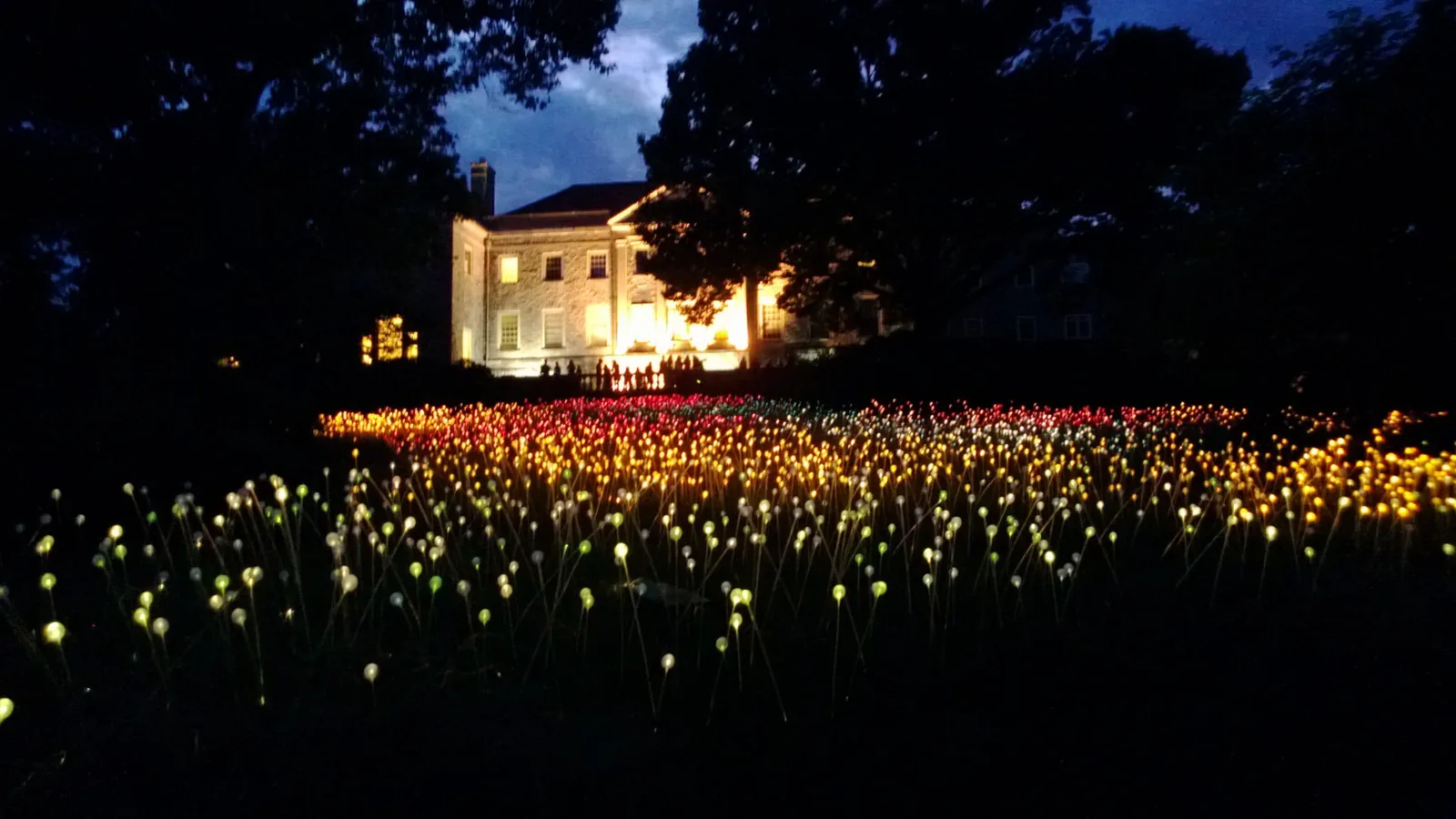 A field of lights by artist Bruce Munro glows in front of the mansion at Cheekwood Estate & Gardens in Nashville during a past exhibition